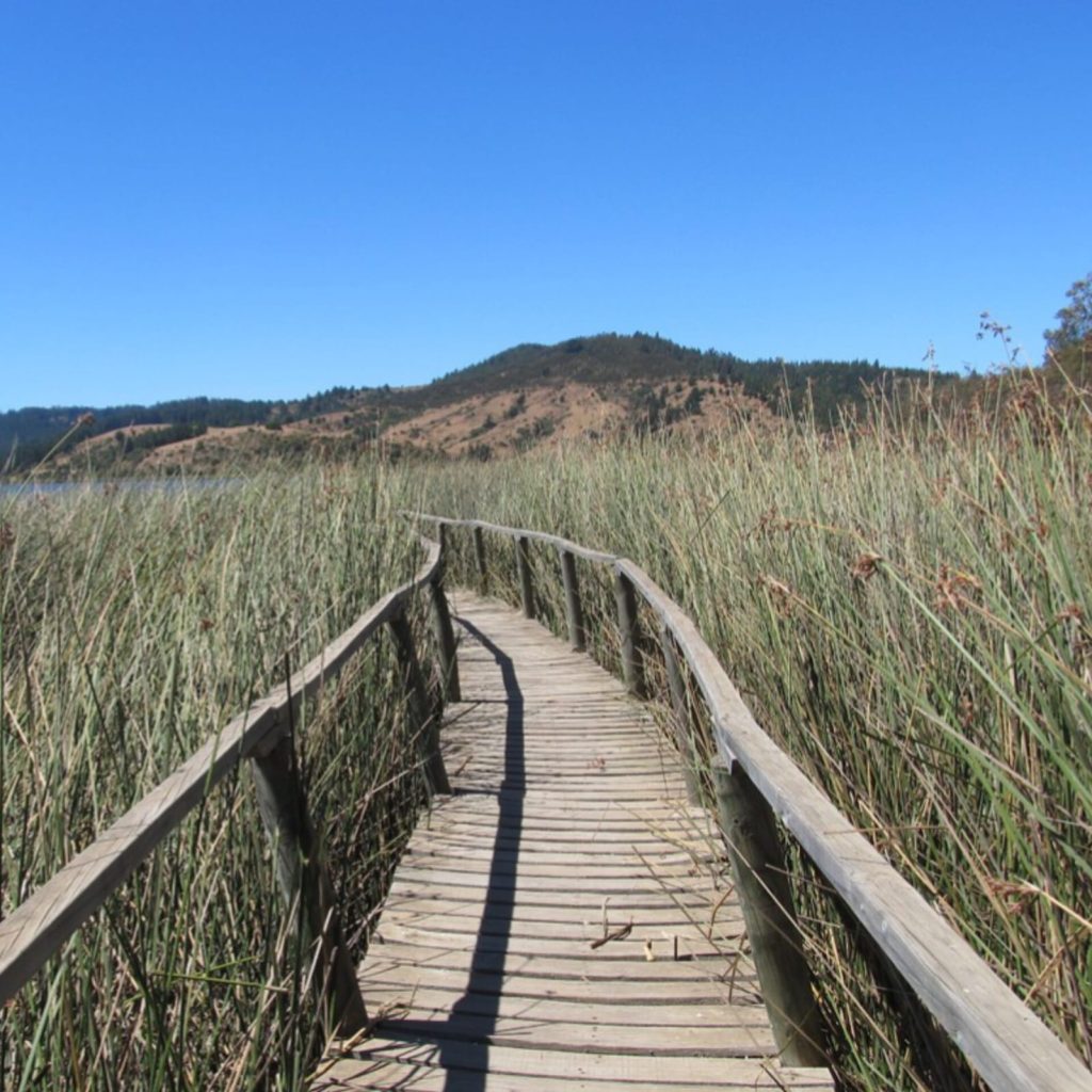 Parcelas en venta en Hacienda Vichuquén 7