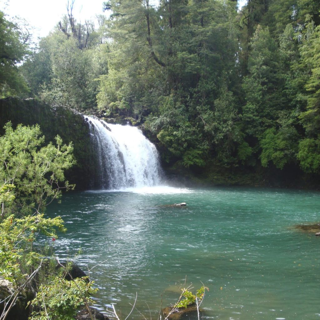 Parcelas en venta Vive Rupanco 8